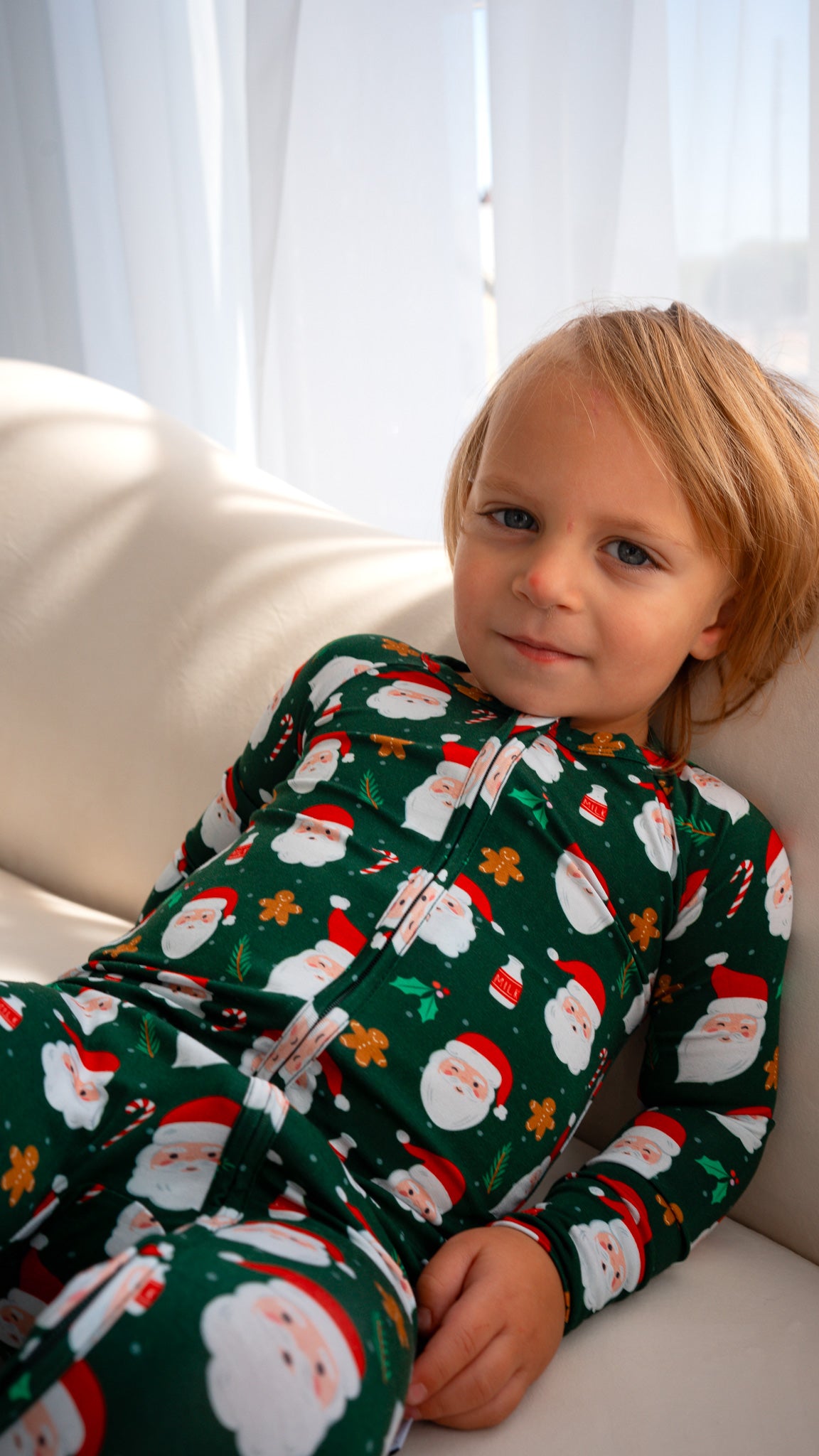 Green Christmas Zippy