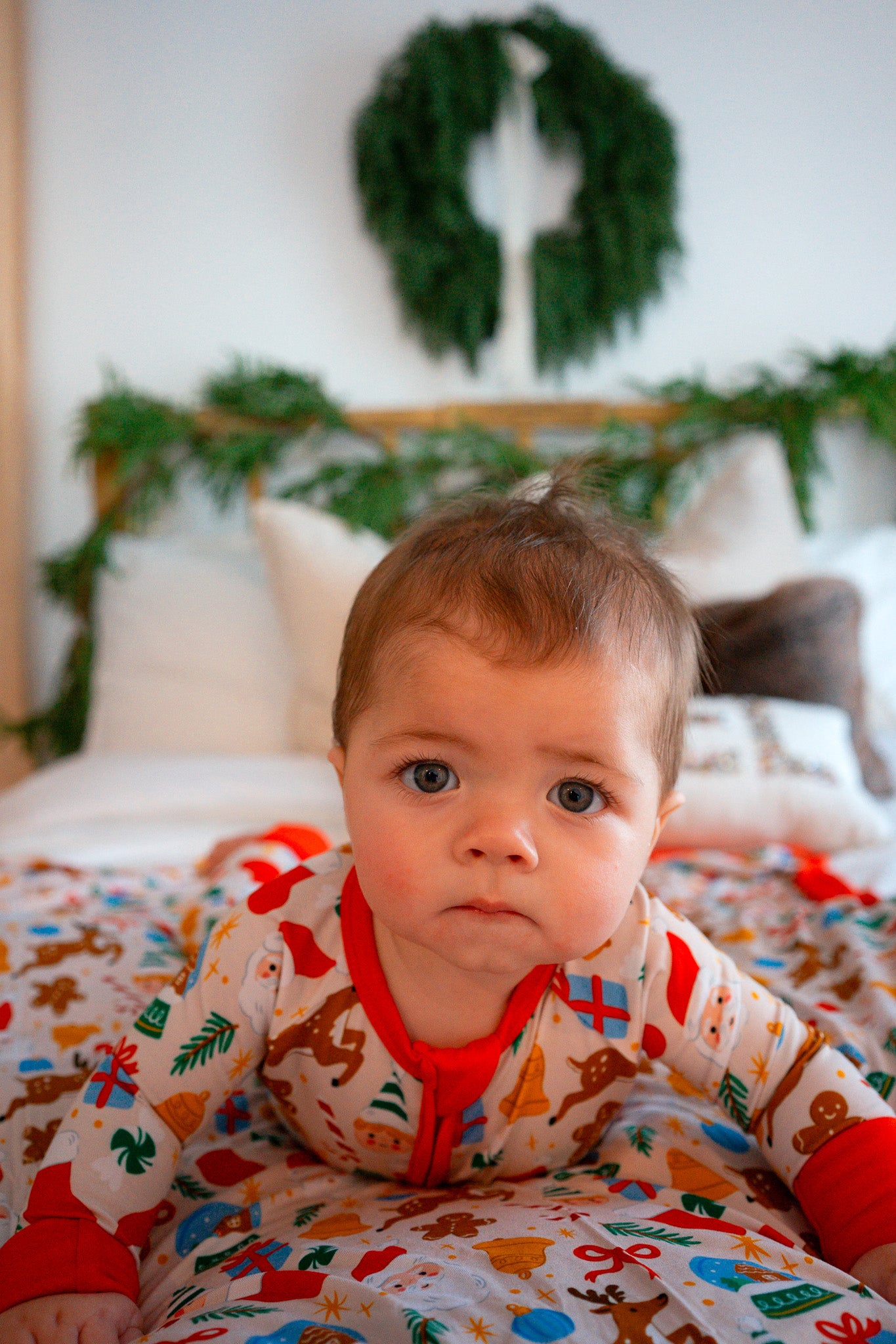 Christmas Classic Zippy