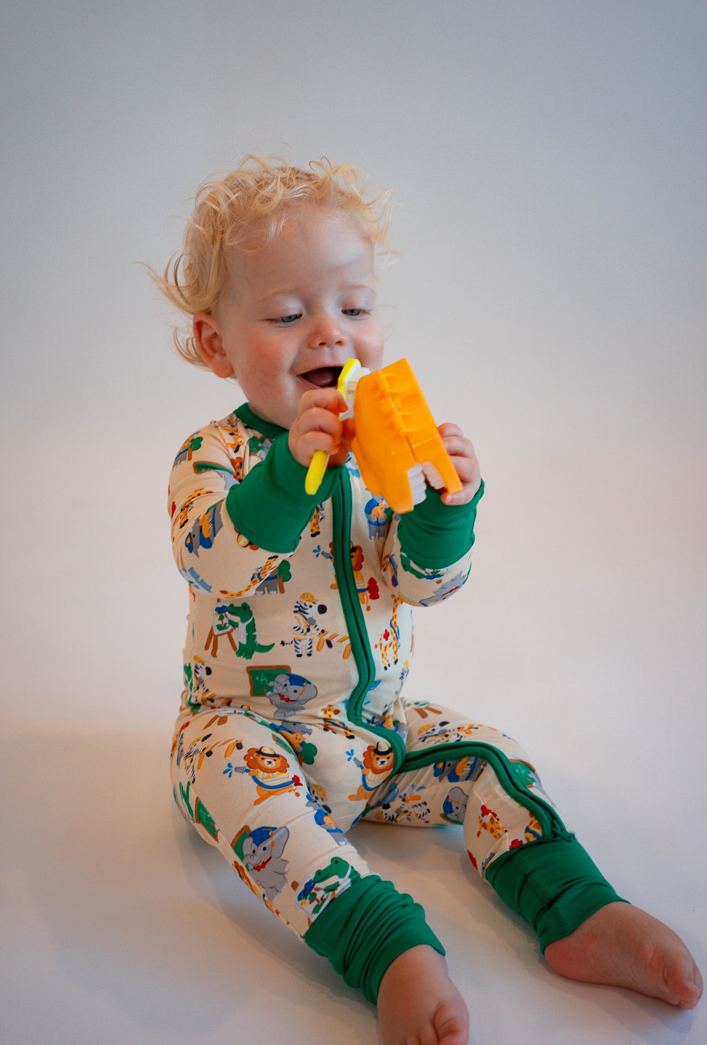 Animal Occupation Zippy