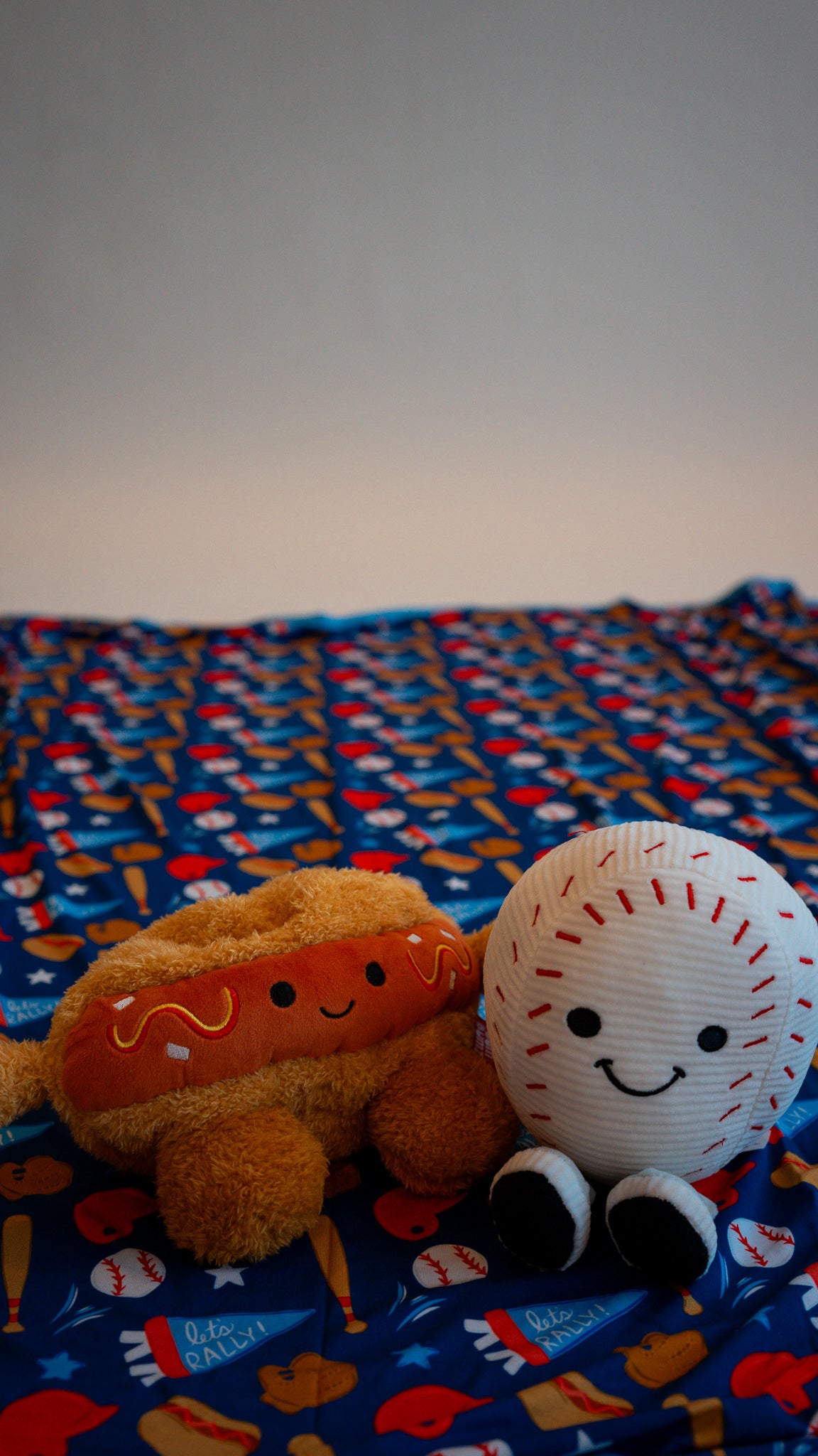 Baseball Blanket